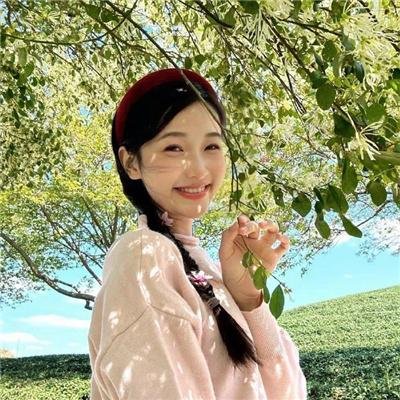 風情萬種野玫瑰